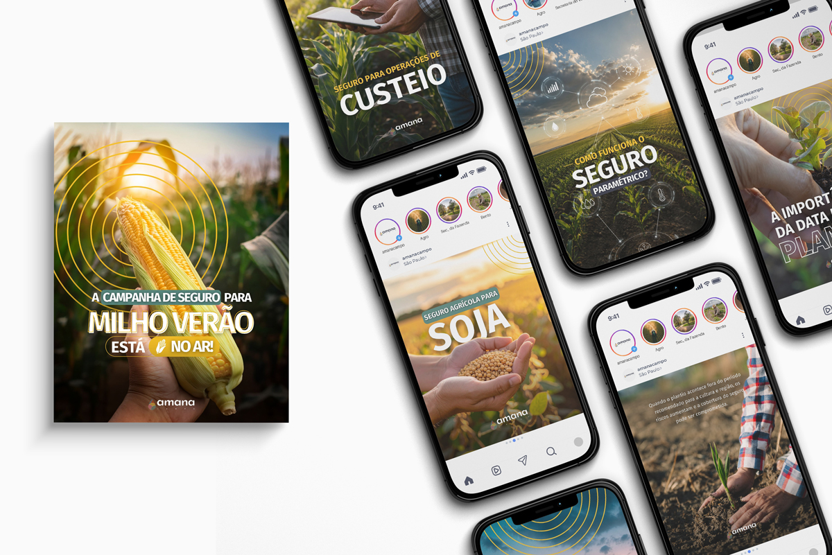 Criativo para Anúncios e Instagram da Amana Campo